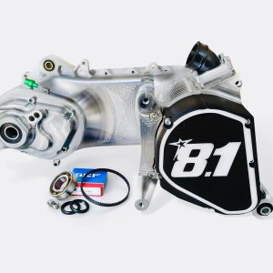 Carter motore completo 8.1 “Fireblade” per Gilera Runner 180, rapporti dado interno, carb. 35-39mm.